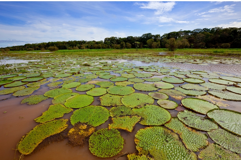 Turismo sostenible en Brasil un potencial en expansión