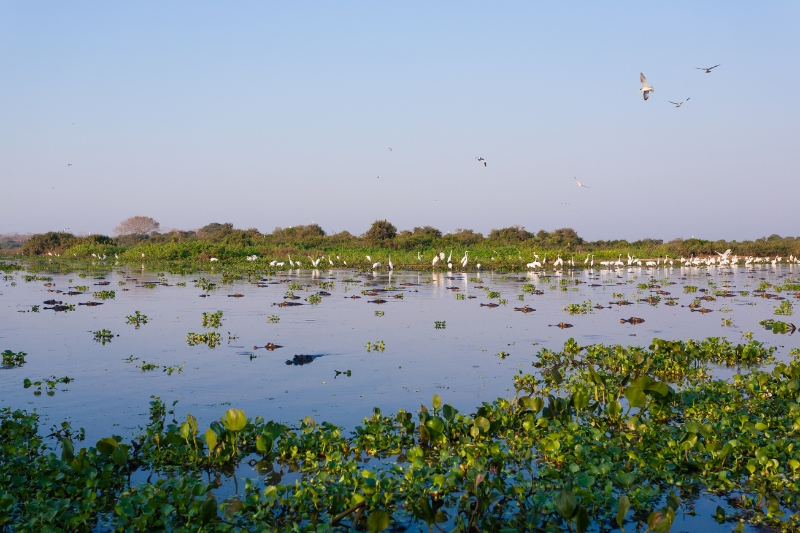 Un futuro sostenible para el turismo brasileño