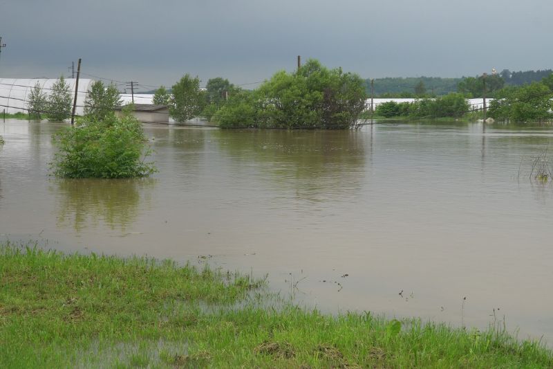 Lluvias extremas y cambio clim&aacute;tico 