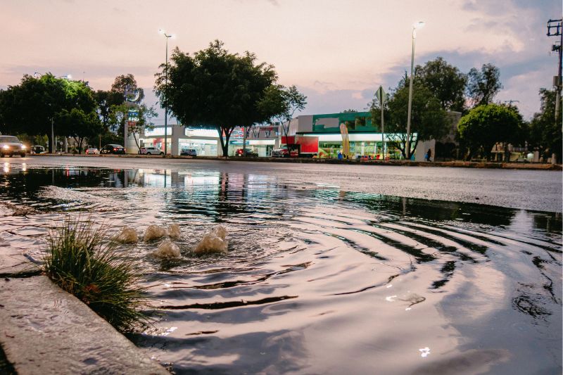 Recuperaci&oacute;n sostenible 