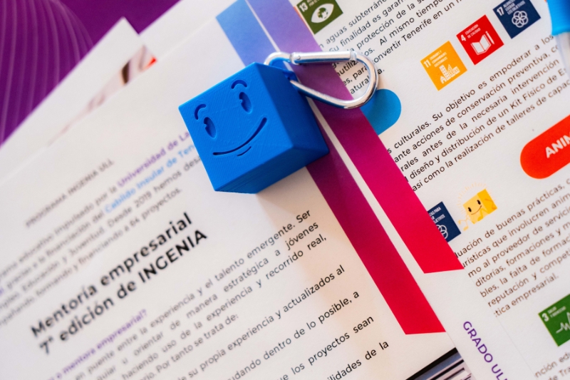 Un programa de innovaci&oacute;n