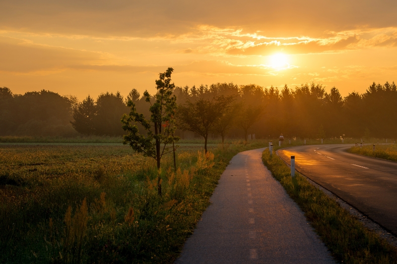 Quieres dar el siguiente paso