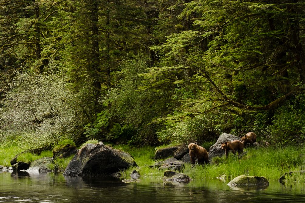 indlogering Delegation Tilsyneladende Cariboo Chilcotin Coast earns Biosphere Certified Destination recognition |  Biosphere