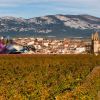 Rioja Alavesa renews its Biosphere Certification and strengthens its sustainable tourism model