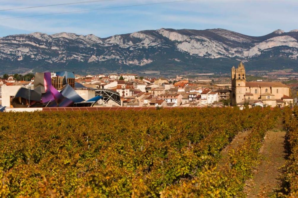 Rioja Alavesa renews its Biosphere Certification and strengthens its sustainable tourism model