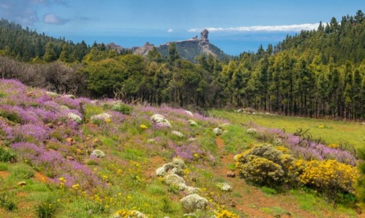 Gran Canaria confirms its sustainability leadership with the renewal of the Biosphere Certified seal, aligning with the UN Sustainable Development Goals.