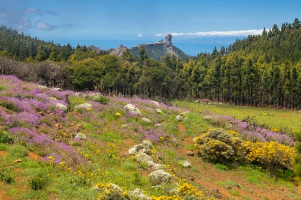 Gran Canaria confirms its sustainability leadership with the renewal of the Biosphere Certified seal, aligning with the UN Sustainable Development Goals.