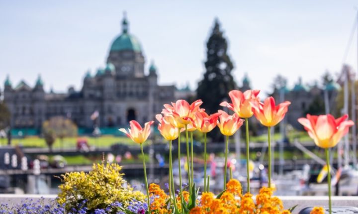 Greater Victoria renews its Biosphere Destination status after a successful audit