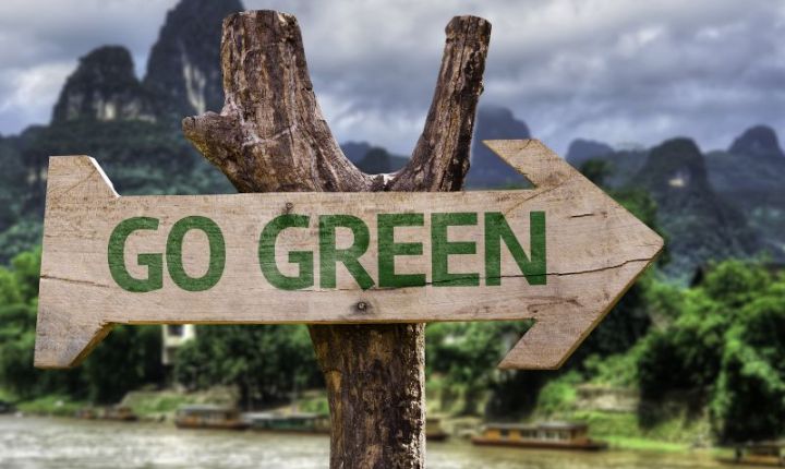 Choosing the Eco-Friendly Path: The Meaning Behind 'Go Green'This inspiring image features a rustic, arrow-shaped wooden sign pointing to the right. In the center of the wooden plank, the words 