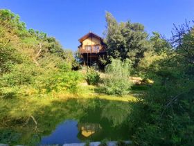Awen Tree House c/o Casale La Bandita