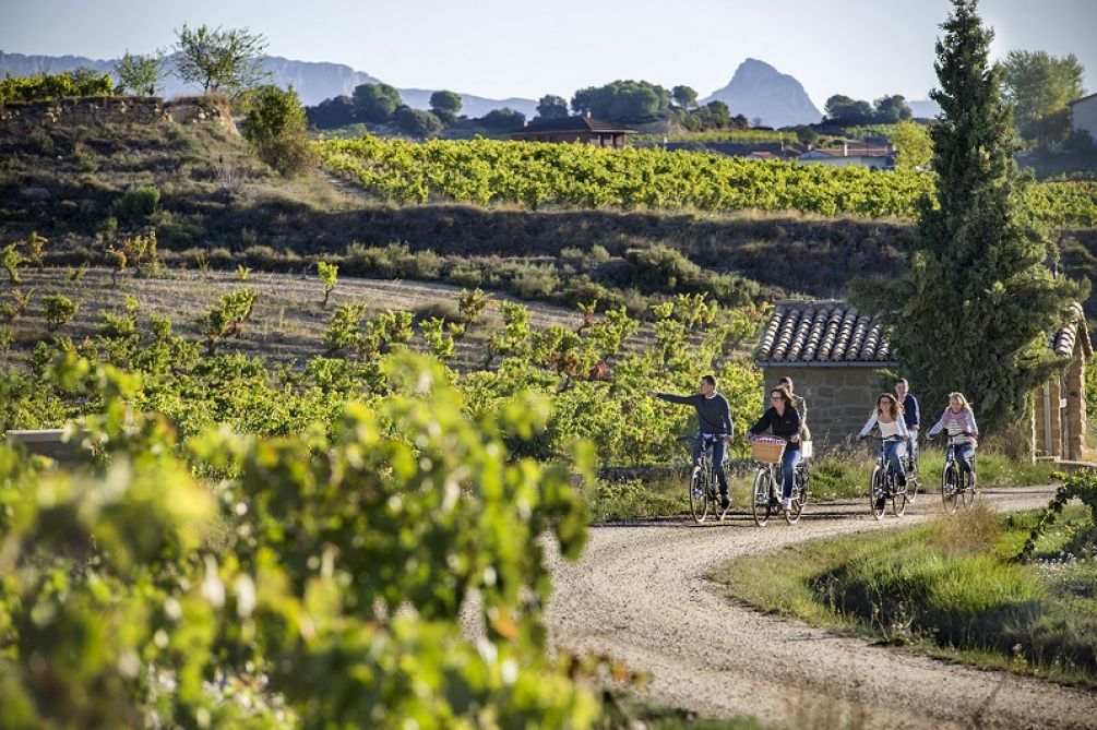Paseo en bicicleta eléctrica entre viñedos de Rioja Alavesa