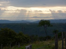 Melgar