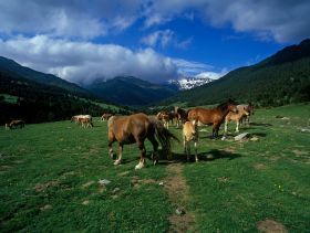 Val d'Aran