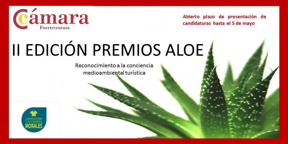 Aloe Fuerteventura