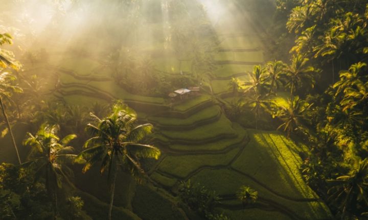 Sostenibilidad rentable y certificación Biosphere impulsan competitividad