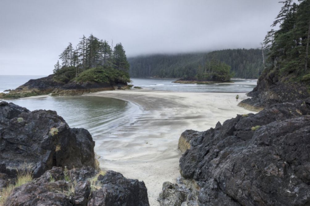 La isla canadiense de Vancouver reafirma su compromiso con la sostenibilidad al renovar su certificación Biosphere Destination