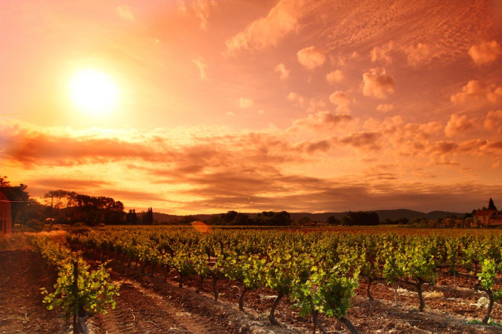 Atardecer en Rioja Alavesa