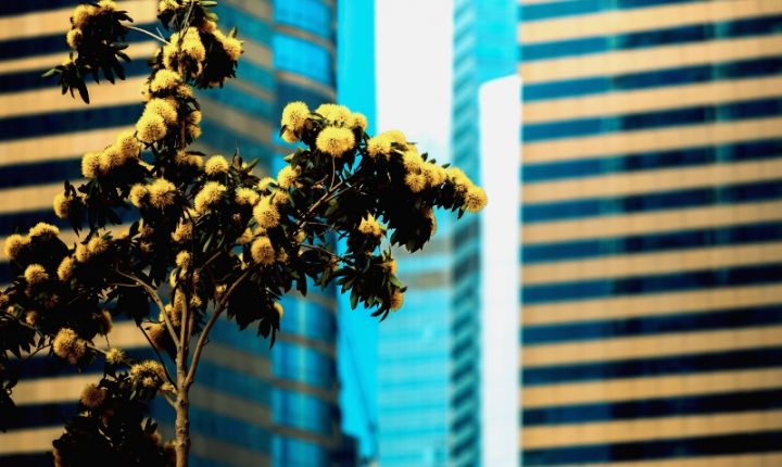 En 2026, la sostenibilidad dejará de ser opcional. 