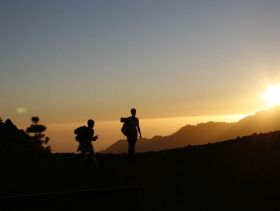La Palma