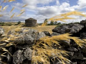 Reserva da Biosfera Transfronteiriça Meseta Ibérica