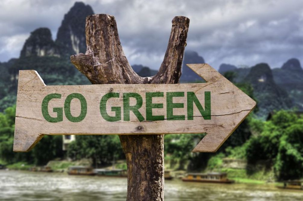 El camino hacia la sostenibilidad: Qué significa 'Go Green' hoy en díaEsta inspiradora imagen muestra un letrero rústico de madera tallada en forma de flecha que apunta hacia la derecha. En el centro del cartel, las palabras 