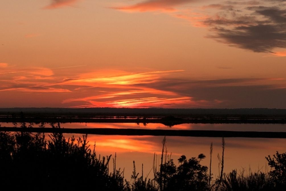 Huelva fortalece su compromiso con la sostenibilidad turística
